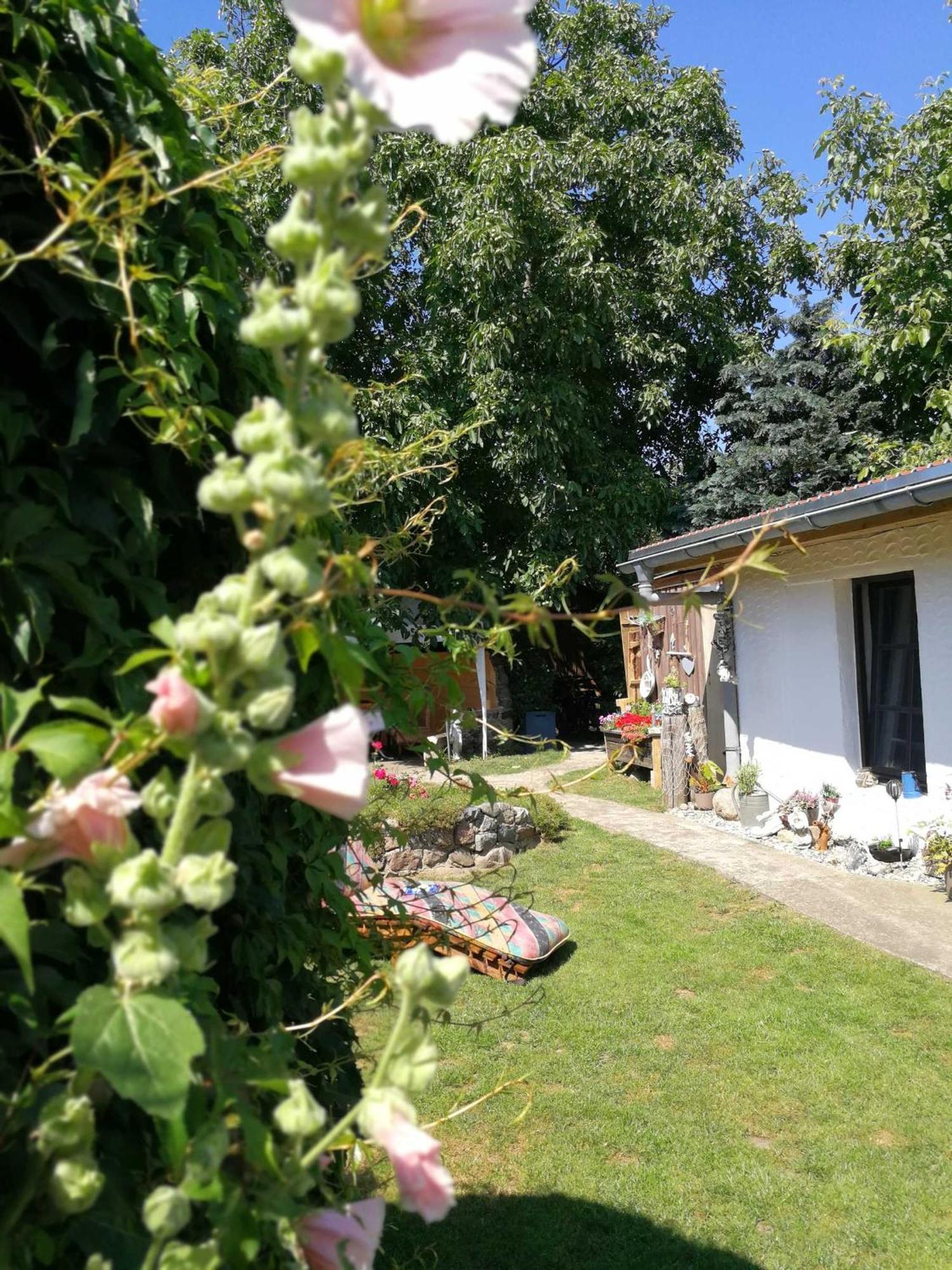 Bungalow Bei Warnemuende Эльменхорст Экстерьер фото